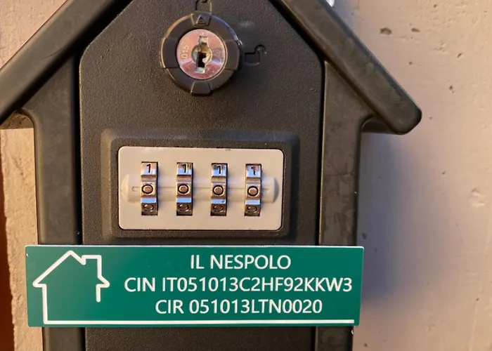 Il Nespolo